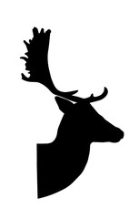 Obraz premium fallow deer silhouette on white background