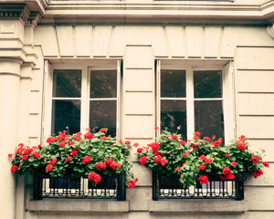 Fototapeta na wymiar Vintage flowers in a Parisian window