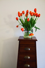  Tulips in vase