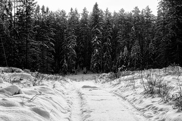 Polish winter © zuzannab