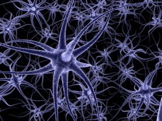 Brain Cell