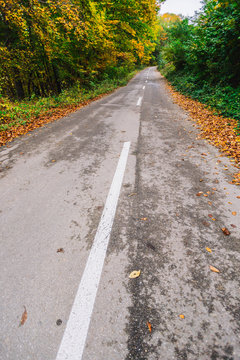  Empty road in autumn