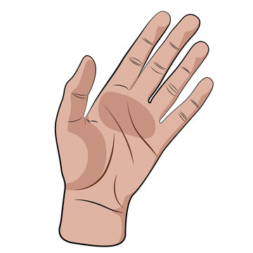 Hand gesture vector.