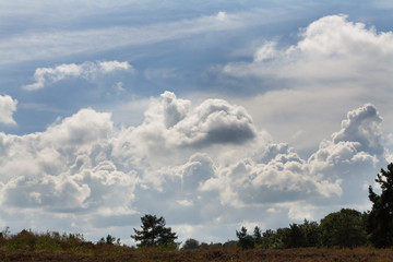spannender wolkenhimmel über der mehlinger heide
