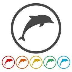 Dolphin circle, flat icons set. Round colorful buttons