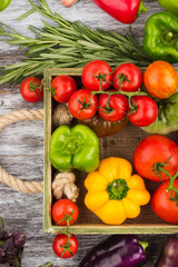 Set of vegetables in the tray