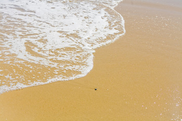 Beach and Beyond  Beach