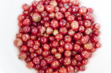 Top down view of redcurrants on a white background.