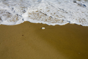 Beach and Beyond  Beach