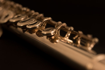 Fototapeta premium Macro de flauta.