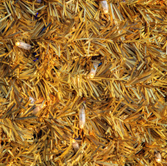 Golden Christmas background