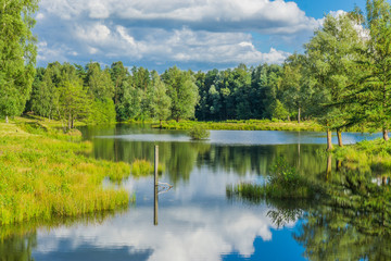 beautiful water landscape reflecting in the water in the forest