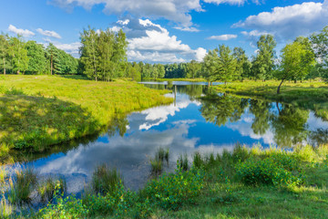 beautiful pond landscape with reflecting water