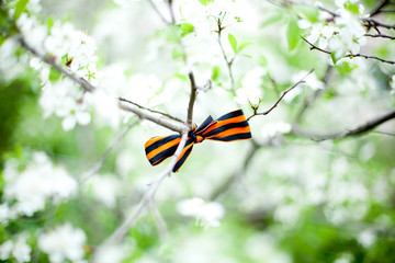 русская весна 2