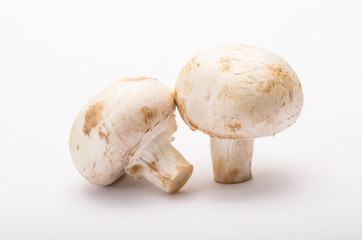 Two Champignon Mushrooms