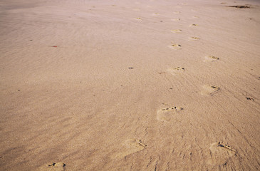 Footprints in the sand on Polzeath beach Vintage Retro Filter.