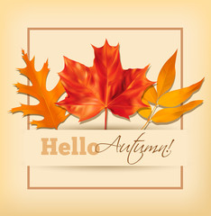 Background with autumn leaves. Vector illustration.