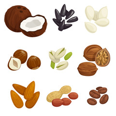 Fototapeta na wymiar Nuts, grain and kernels vector icons