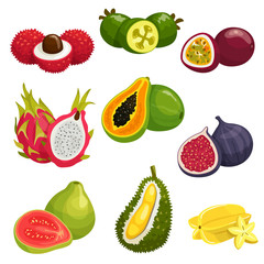 Tropical and exotic fruits isolated icons