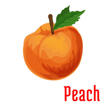Fresh juicy peach fruit icon