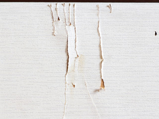 Fototapeta premium The trace of cat scratching on Japanese Fusuma door