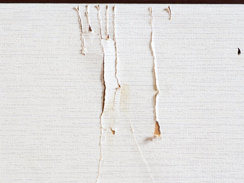 The trace of cat scratching on Japanese Fusuma door