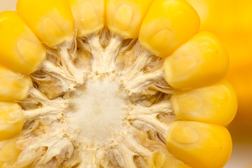 yellow corn as a background. macro