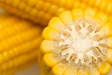 yellow corn as a background. macro