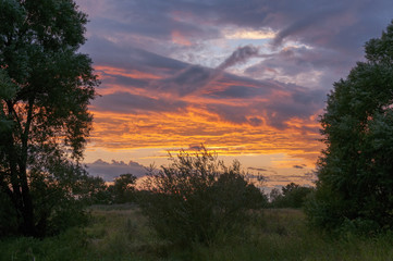 Red sunset over trees  