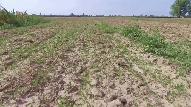 Terreno movimento obiettivo