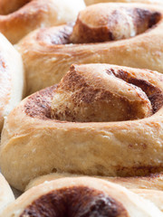 Homemade cinnamon rolls