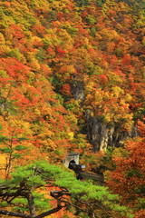 紅葉の鳴子峡