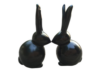 Black rabbit couple isolated
