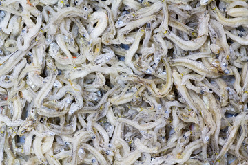 Japanese cuisine, seamless picture of half dried little fish cal