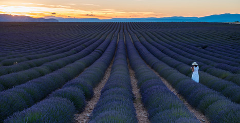 Fototapeta na wymiar Woman in a Lavender field