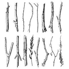 Naklejka premium Zestaw szczegółowych i precyzyjnych rysunków atramentem gałązek drzewnych, kolekcji lasów, naturalnych gałęzi drzew, patyków, ręcznie rysowane wiązki leśnych driftwoodów. Rustykalny design, klasyczne elementy rysunkowe. Wektor.