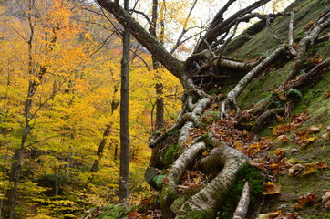Off the beaten path on the mountain to Smugglers Notch in Vermont