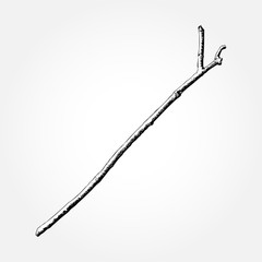 Driftwood forest ground floor hand drawn ink rustic design element. Dry tree branch and wooden twig in natural rural style. Vintage highly detailed classic ink drawing art in engraved style. Vector.