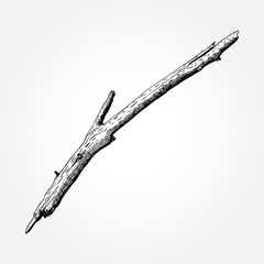 Detailed and precise ink drawing wood twig, isolated on white forest object, natural tree branch, stick, hand drawn driftwood forest floor pickups. Rustic design, classic drawing element. Vector.