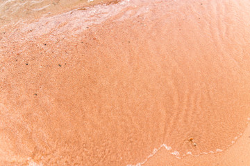 sandy shore of the sea as a backdrop