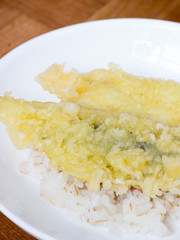 Japanese cuisine, fried fish on the rice called a Tendon in Japa