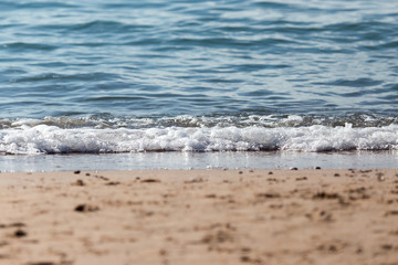 sandy shore of the sea as a backdrop