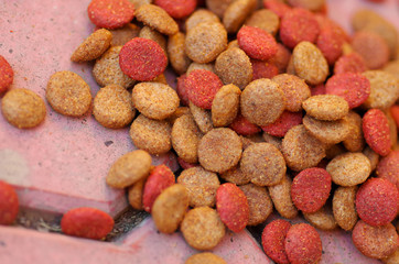 Closeup pile of fresh red and brown colored crunchy dog food lying on stone tiles surface