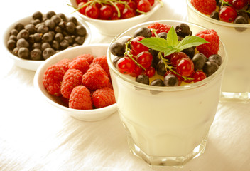Sweet dessert, pudding, panna cotta with mix berries and mint