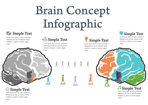 left and right brain vector design ; vector illustration