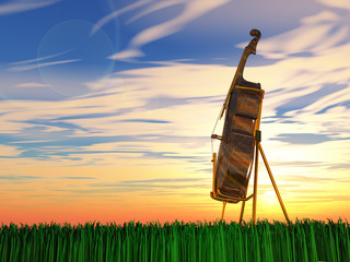 Cello on grass at sunrise or sunset © rolffimages