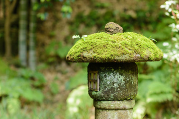 Japanese Stone Lantern © bu7shimeji