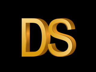 DS Initial Logo for your startup venture