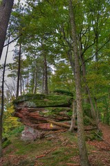 Rocher en grès dans la forêt