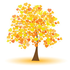Fototapeta na wymiar Beautiful autumn tree